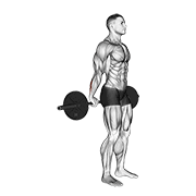 杠铃站姿腕弯举