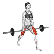 杠铃分腿蹲变式2