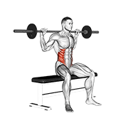 杠铃坐姿转体