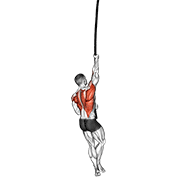 背部专项训练