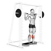 史密斯机反向提踵